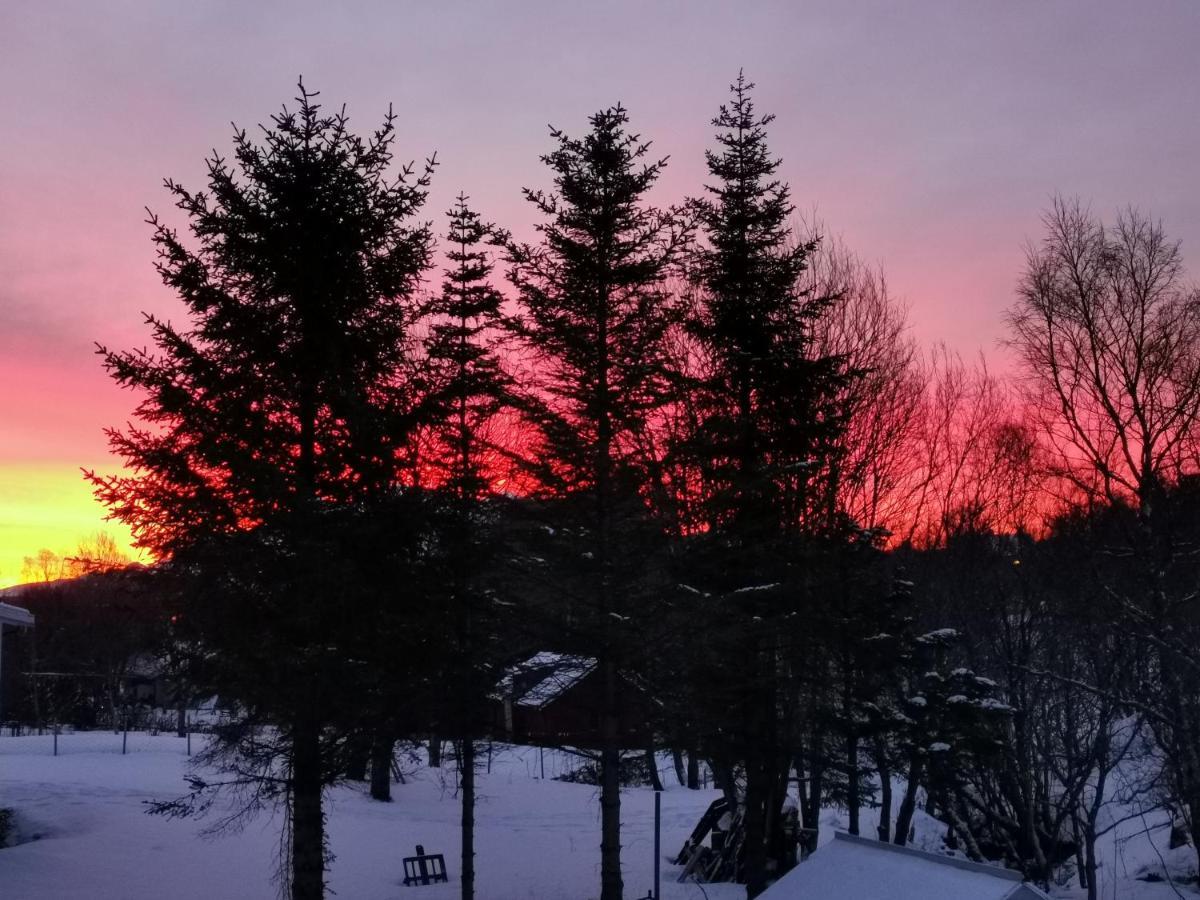 Cozy Home Gravdal  Экстерьер фото